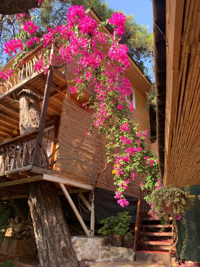 Large Bungalow With Sea View In Kabak Bay, Oeluedeniz Fethiye Exterior foto